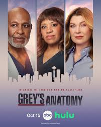 Grey's Anatomy : Season 23